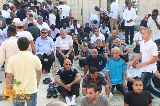 7san bek salahai (64).JPG